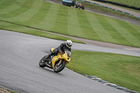Middle 2 Group Yellow Bikes